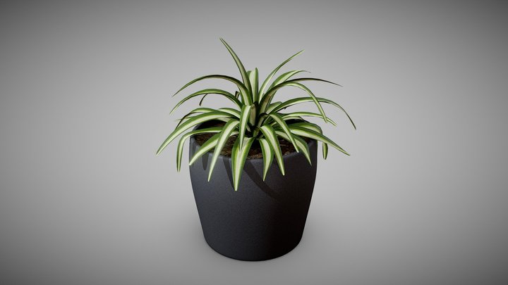 3December 2022 - Spider Plant – Free 3D Model STL