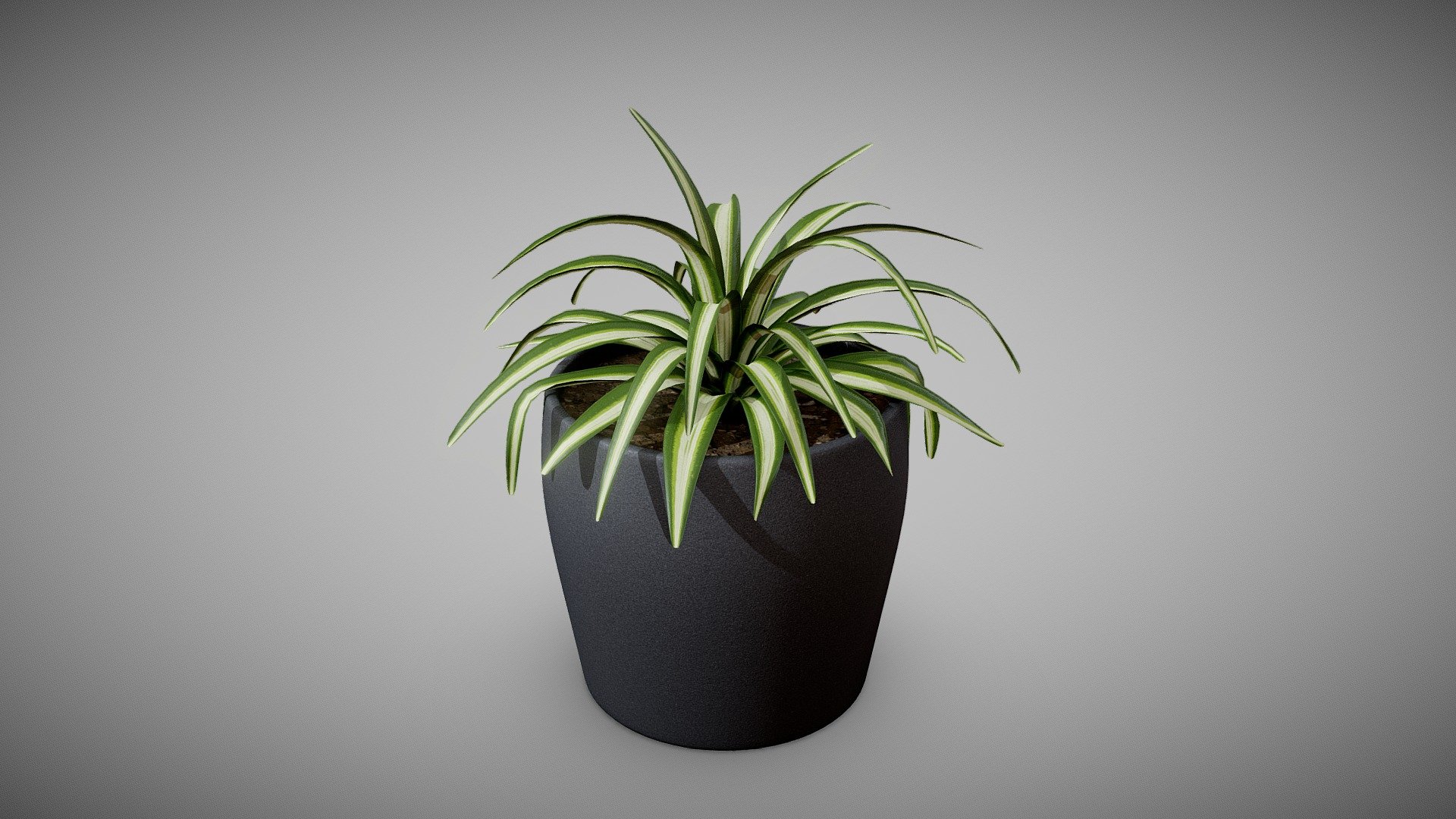 3December 2022 - Spider Plant - Download Free 3D model by Jack Kelly ...