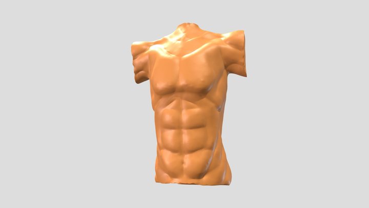 Male Mid Body 3D Model