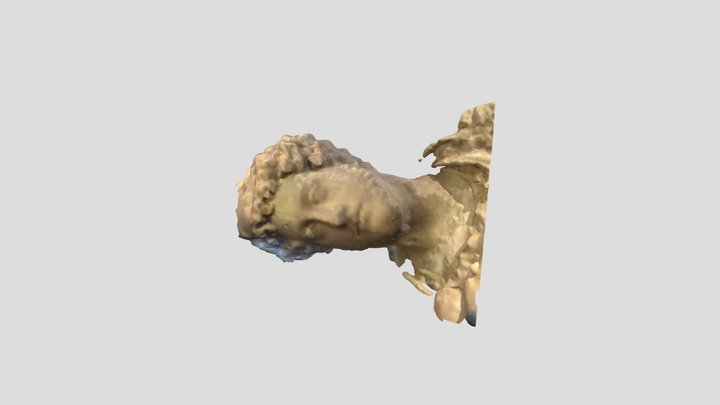Bust Of Commodus JT 3D Model