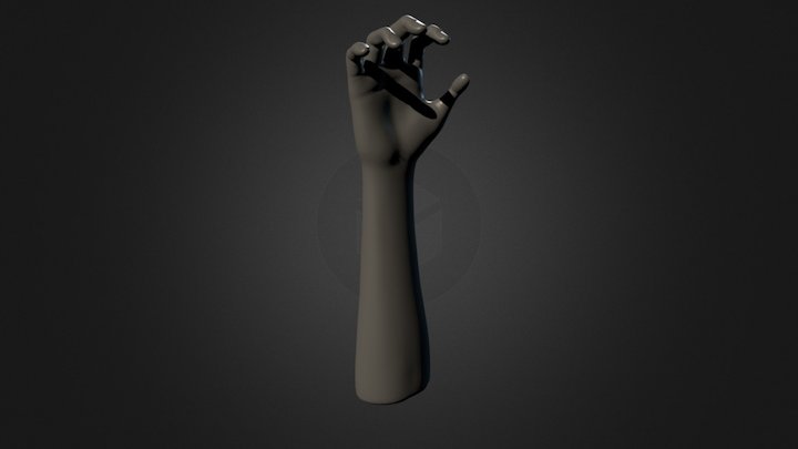 Greyscale Arm and Hand Drawing Reference Pose 03 3D Model