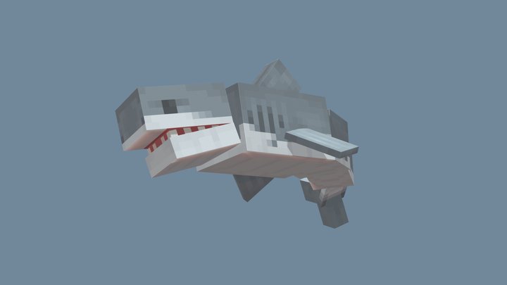 The Shark - (Blockbench) 3D Model