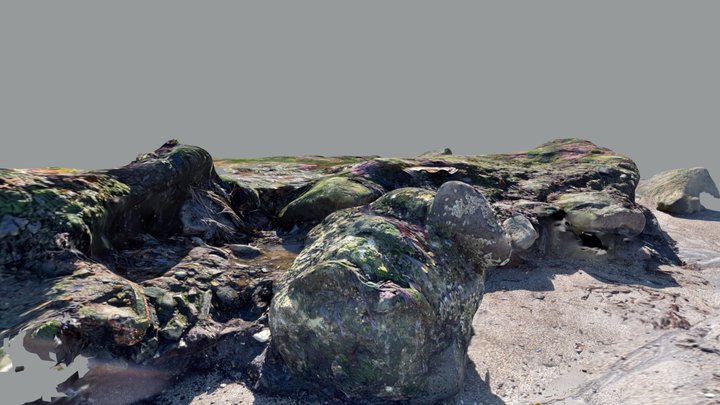 Beach rocks 3D Model