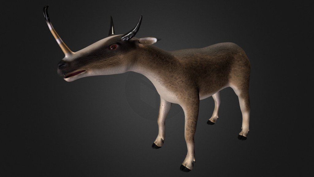 Syntethoceras