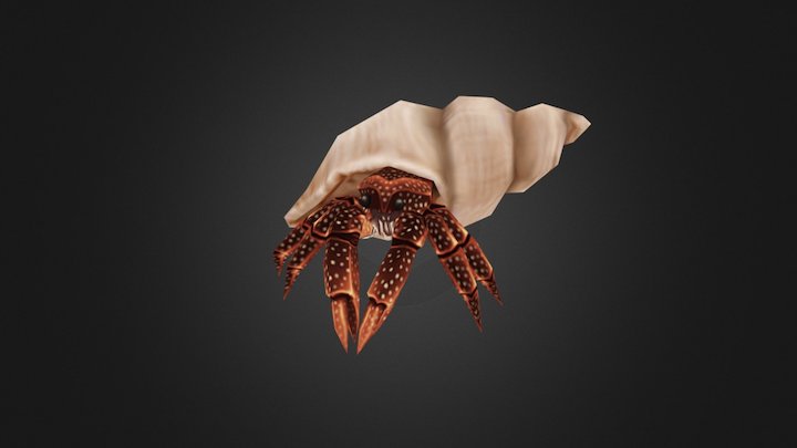 Hermit Crab 3D Model