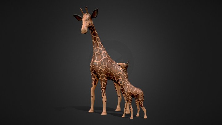 A mother giraffe taking her daughter on a walk! 3D Model