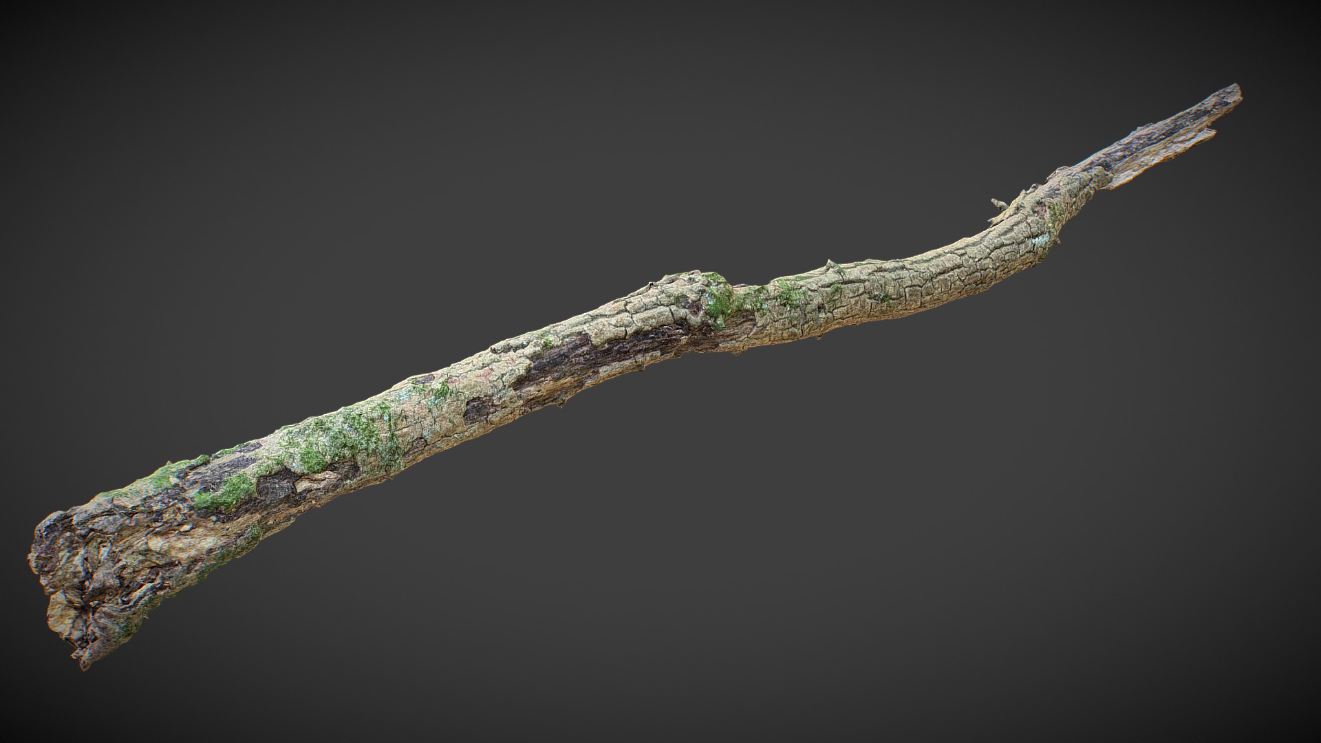 3D model Broken-tree - This is a 3D model of the Broken-tree. The 3D model is about a tree branch with a light shining on it.