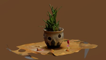 Aloe Vera Plant - Julia Yang, jwy37 3D Model