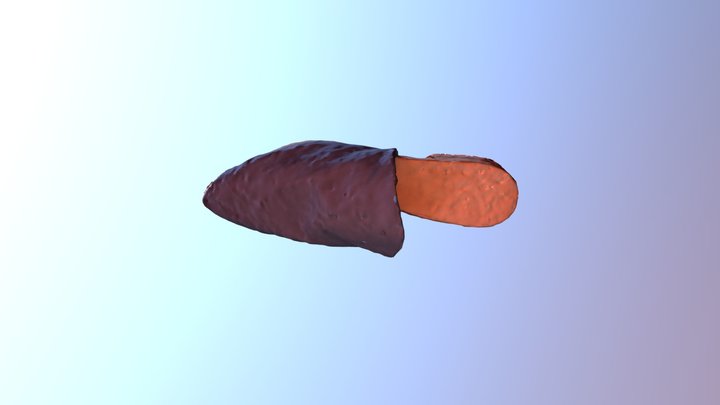 IDMS_R-BlueShoe_TestModel 3D Model