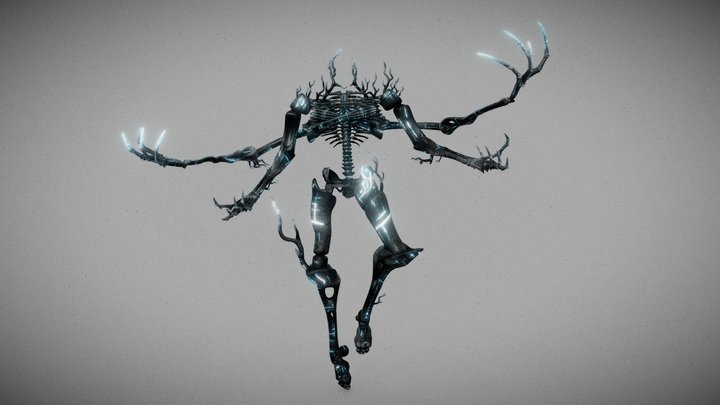 The look 3D Model