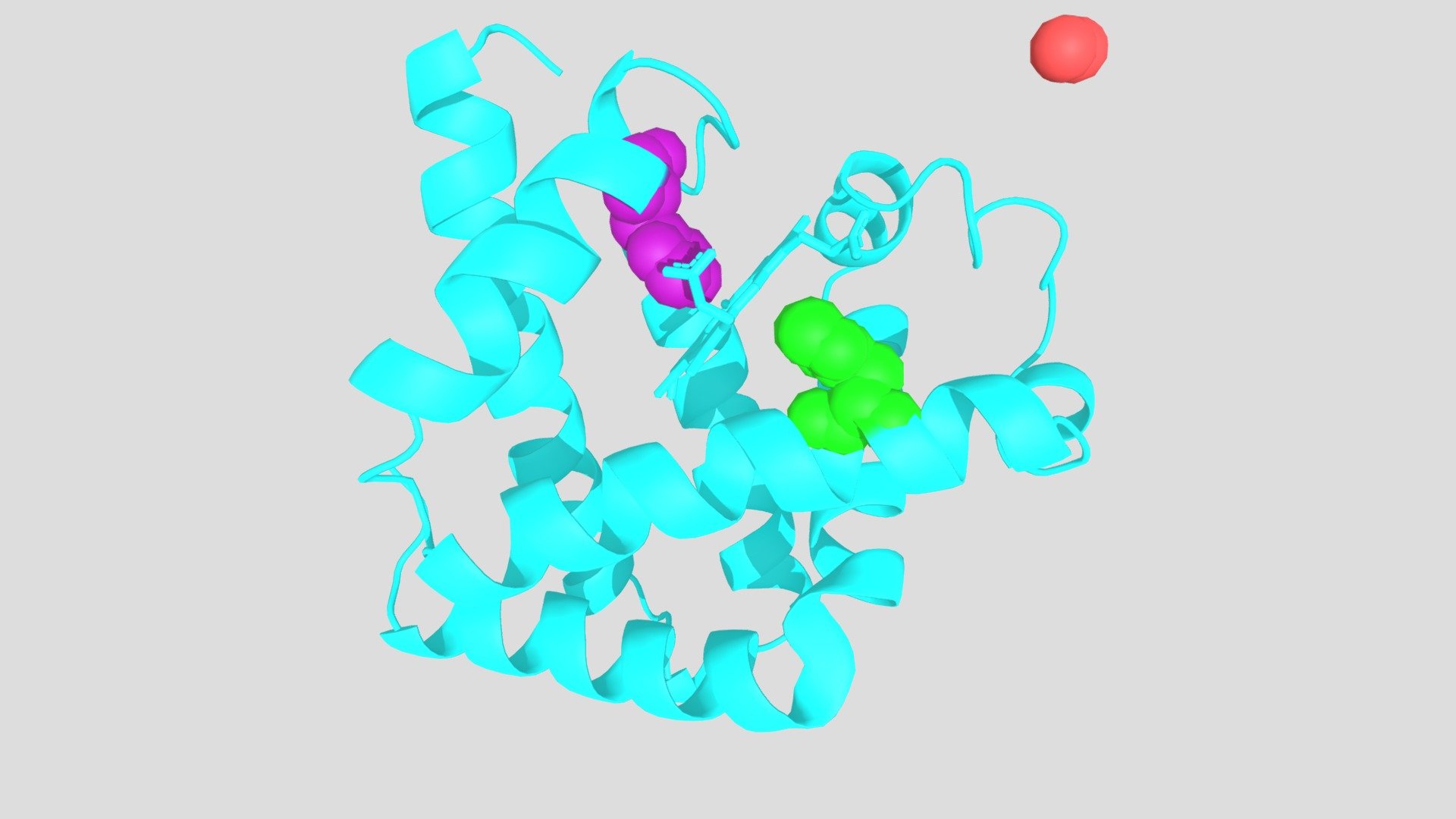 Myoglobin - Download Free 3D Model By DrSmashy [84f8c6c] - Sketchfab