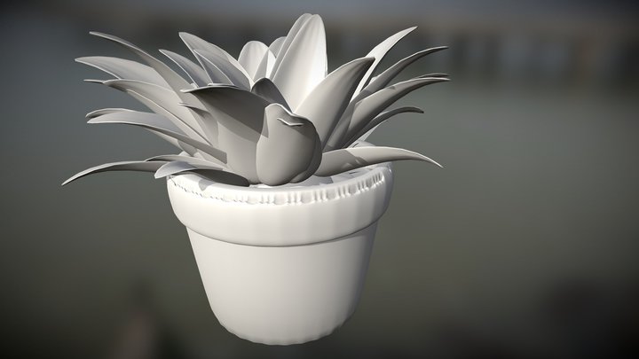 House Plant 3D Model