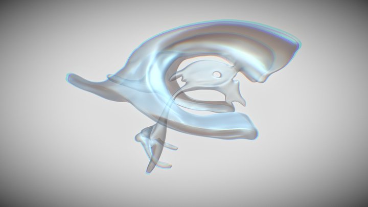 Draft Demo: Brain Ventricle 3D Model