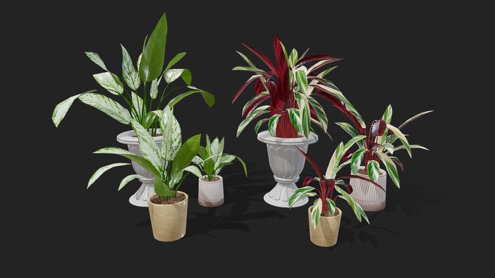 Indoor Plants - Game Assets 3D Model