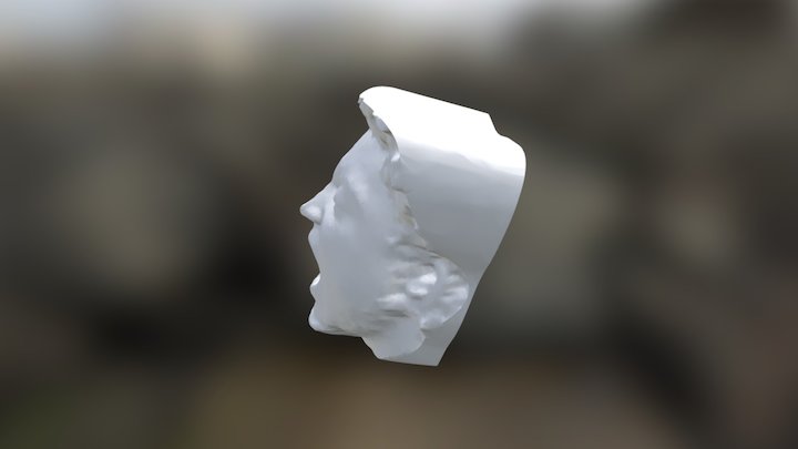 QR Code Head Scan 3D Model