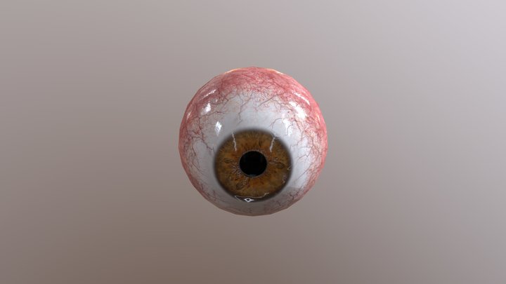 Brown-eyeball-free 3D Model