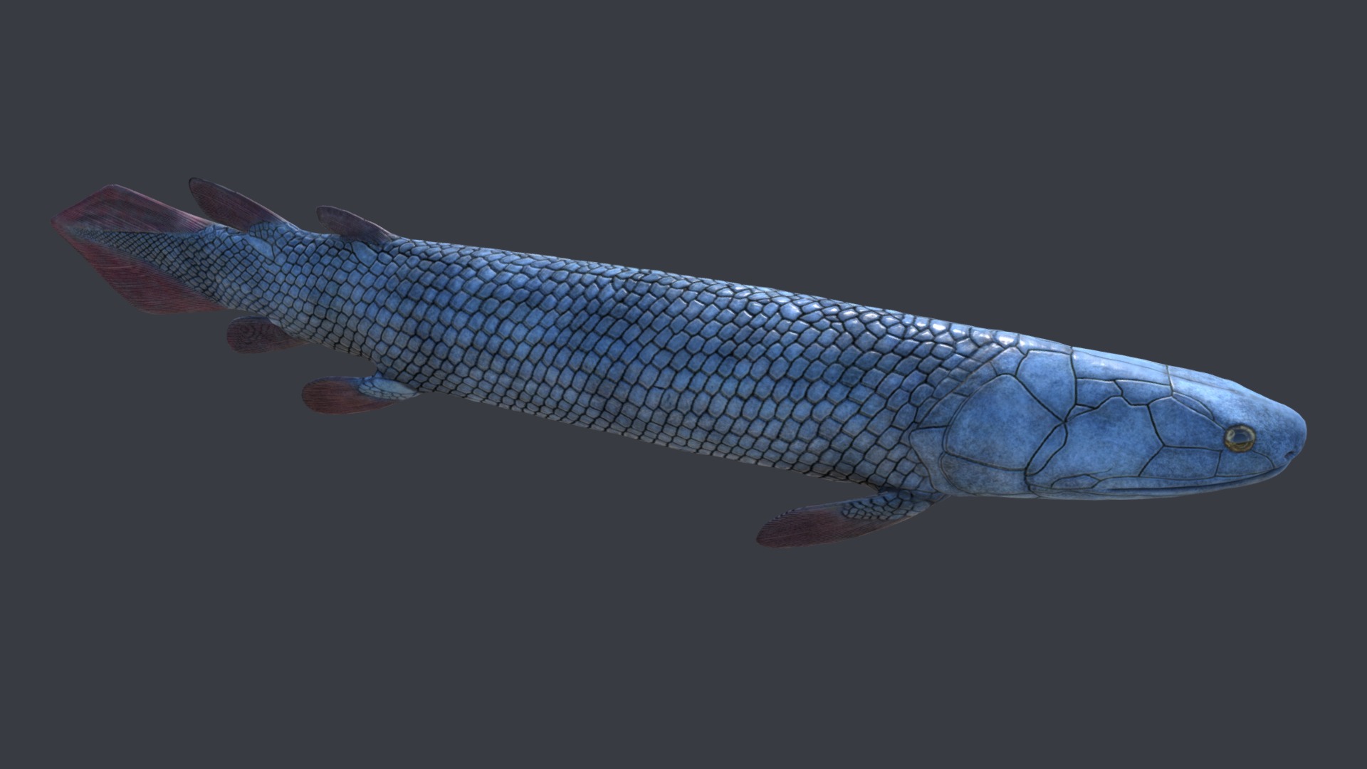 3D model Gyroptychius - This is a 3D model of the Gyroptychius. The 3D model is about a fish swimming in water.