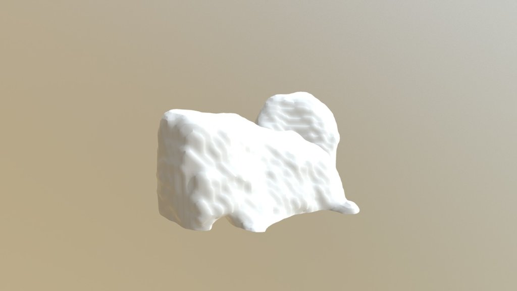 Taurodontismroot2