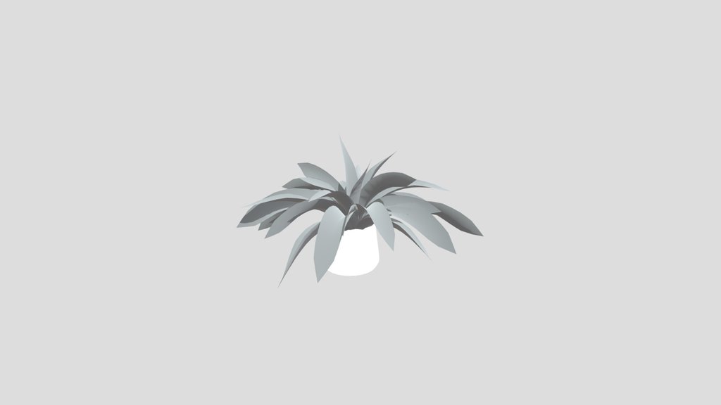 Tropical Fern Sml Potted