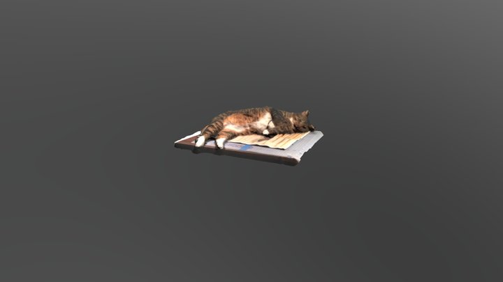 扫描猫 3D Model