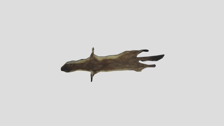 Шкурка ласки – Modelo 3D gratuito STL