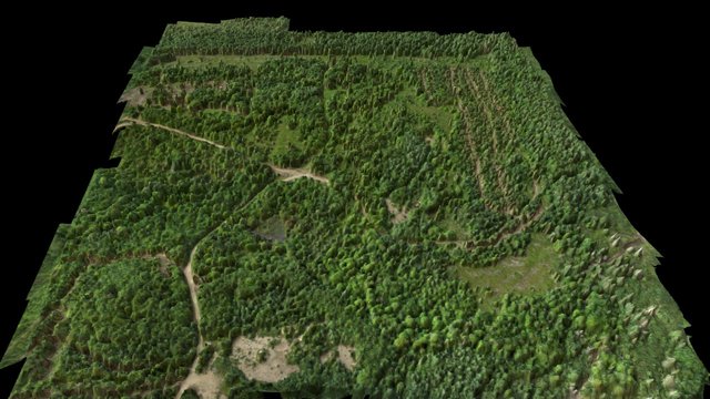 MacMullin - NE 3D Model
