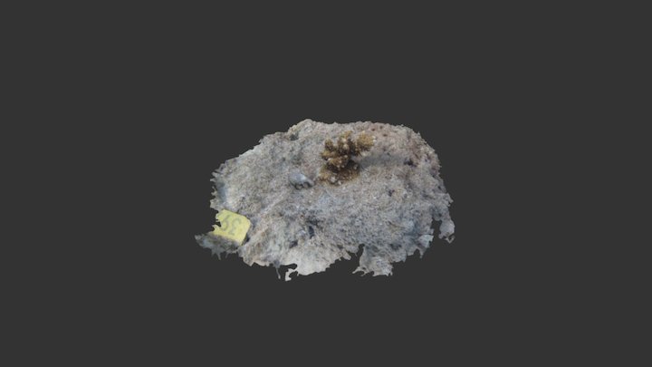 TAG397 2017 3D Model