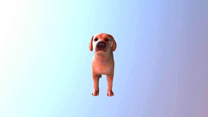 Dog V1 L2 Model 3D Model