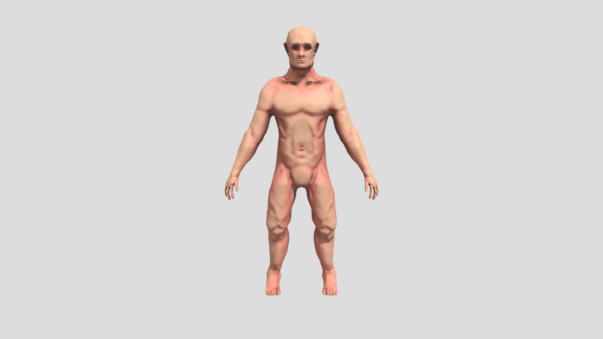 Estudio Anatomía