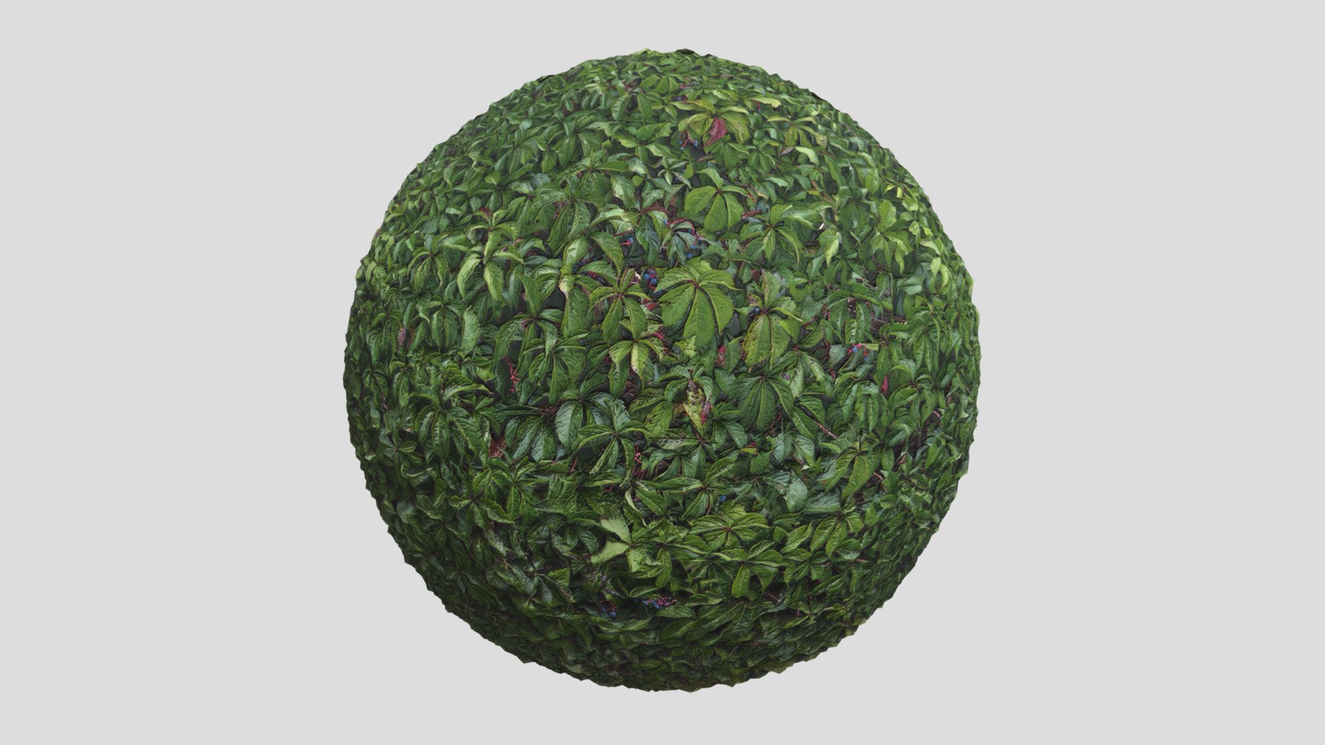 Hedges 02