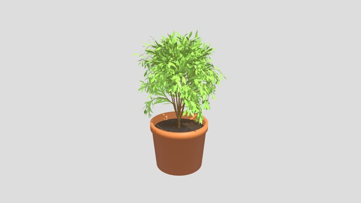 3D Sketchbook 5 - Plant in Pot 3D Model