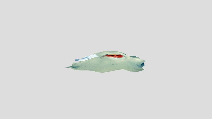 fruit face 3D Model