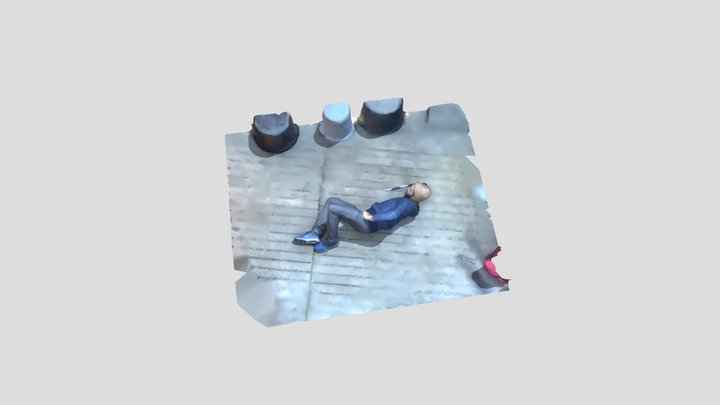 What Do We Do With A Drunken Sailor? 3D Model