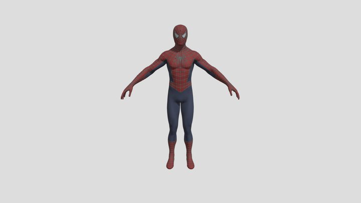 SPIDER MAN WEB BUIT 3D Model