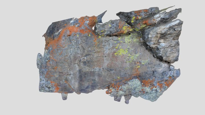 Rock Image Grande Ronde 1 3D Model