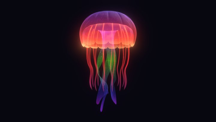 Colorful jellyfish – Free 3D Model STL