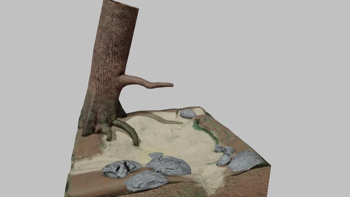 Small Pond 3D Model