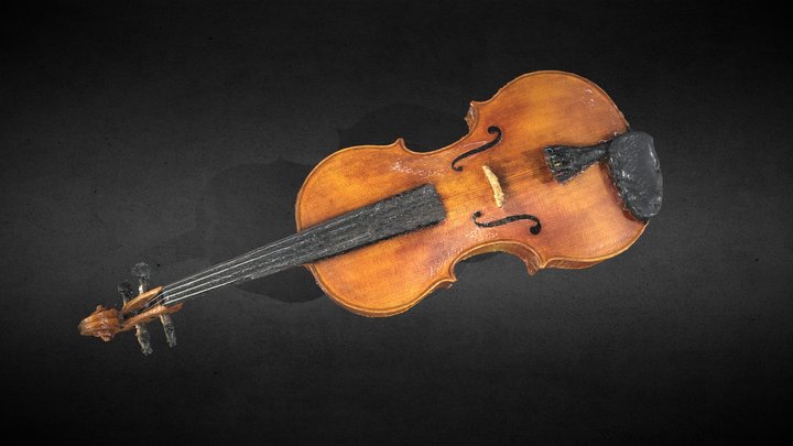 Viola
