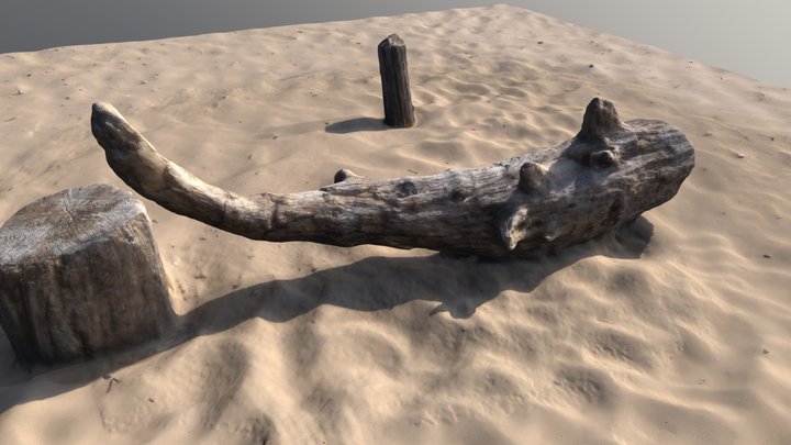 Driftwood 3D Model