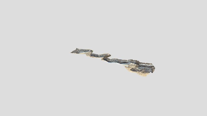 Withow Gap at Skipsea 3D Model