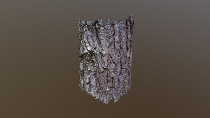 Tree Bake 3D Model