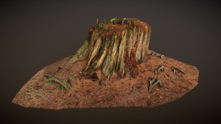 tree stump "hero" - mesh 3D Model