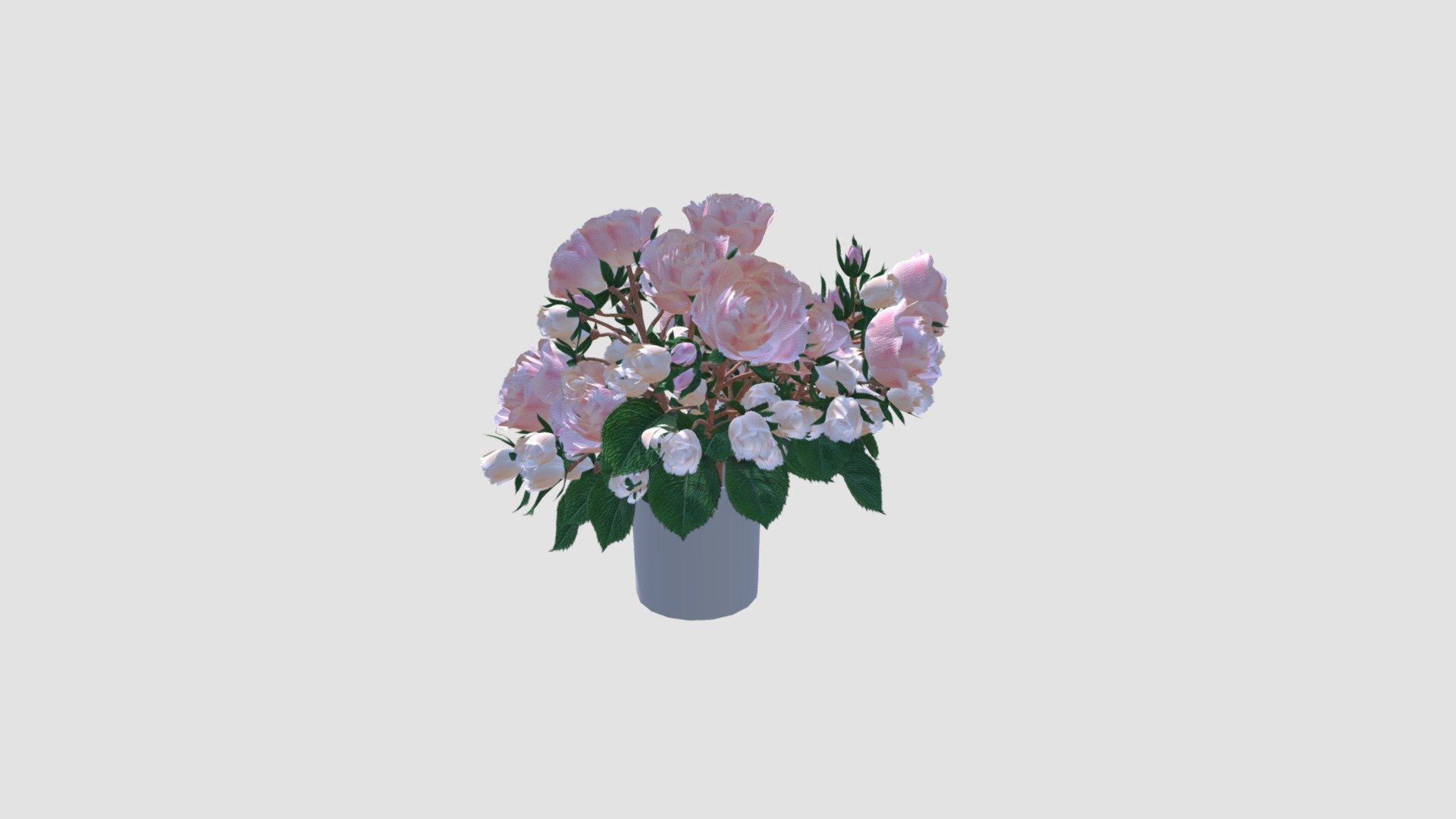 plant - Buy Royalty Free 3D model by Evermotion [854e48a] - Sketchfab Store