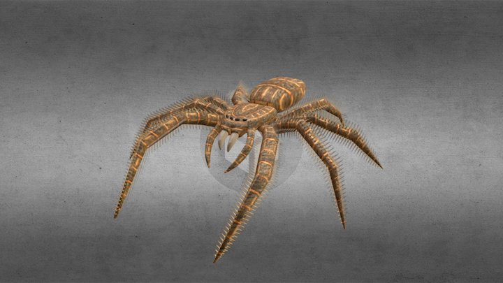 EDIT Only Spider With Animations Export 3D Model