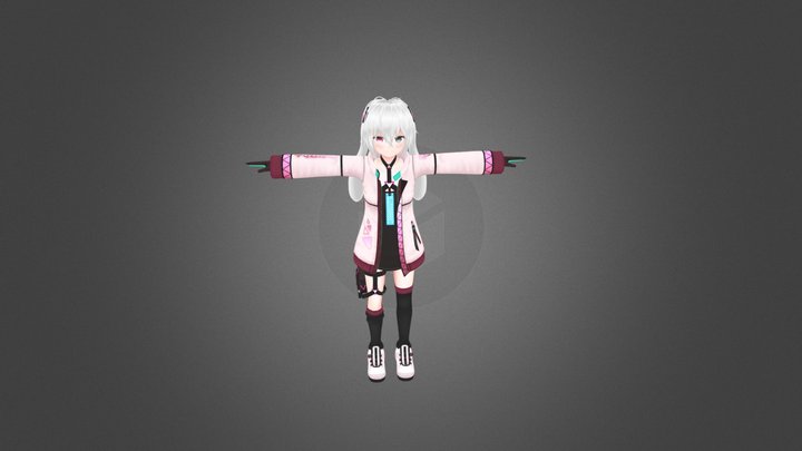 Reference 3D Model