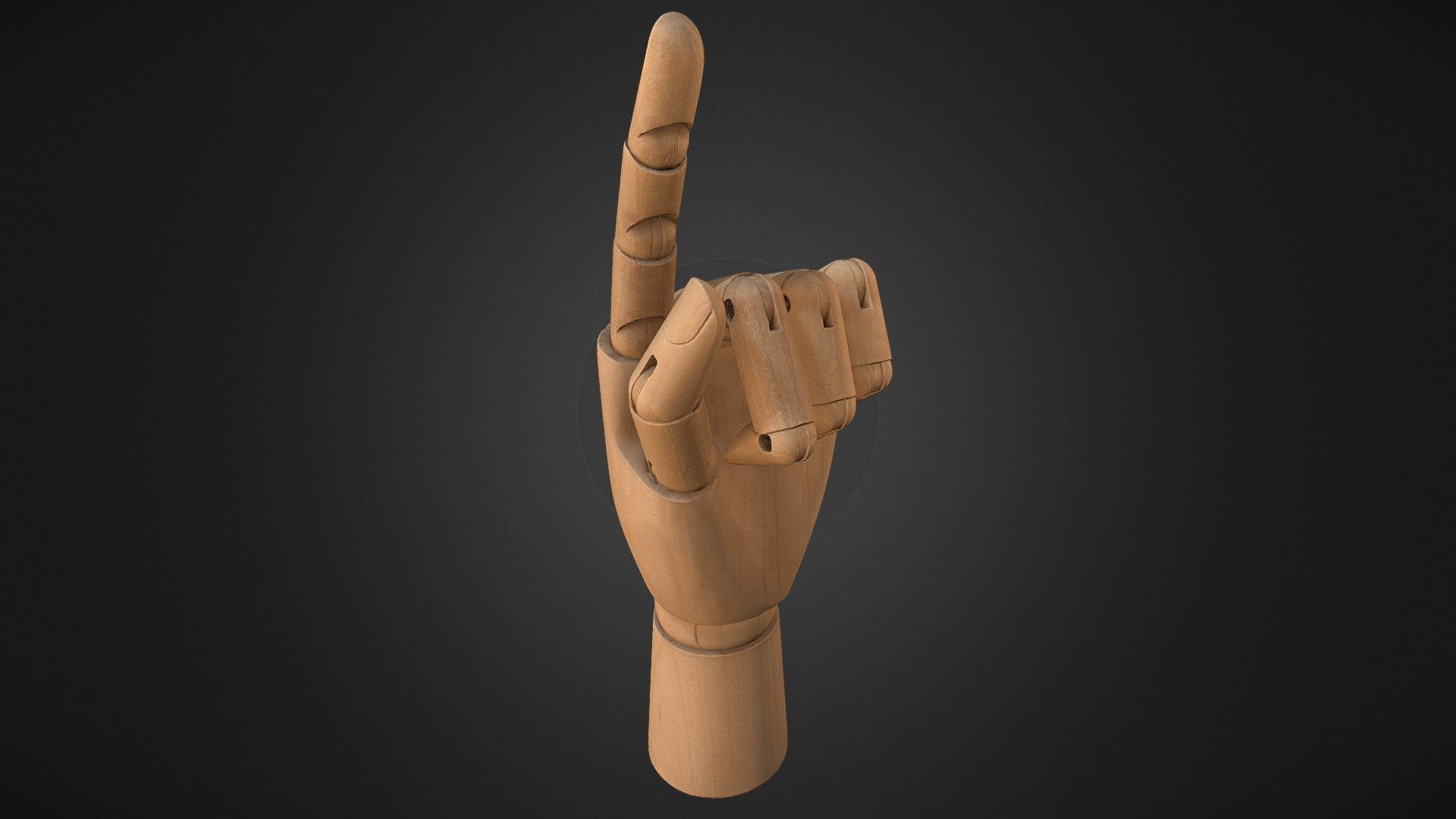 Wooden model hand