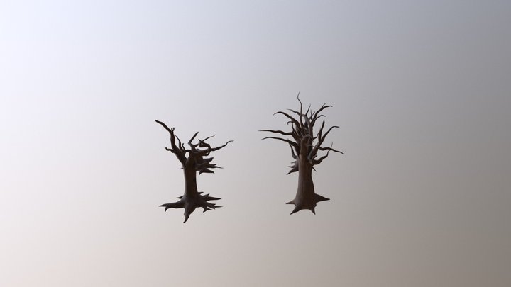 Trees for Nordic Scene Proyect 3D Model