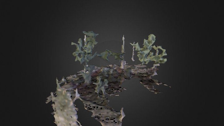 Glasshouse Tree 3D Model