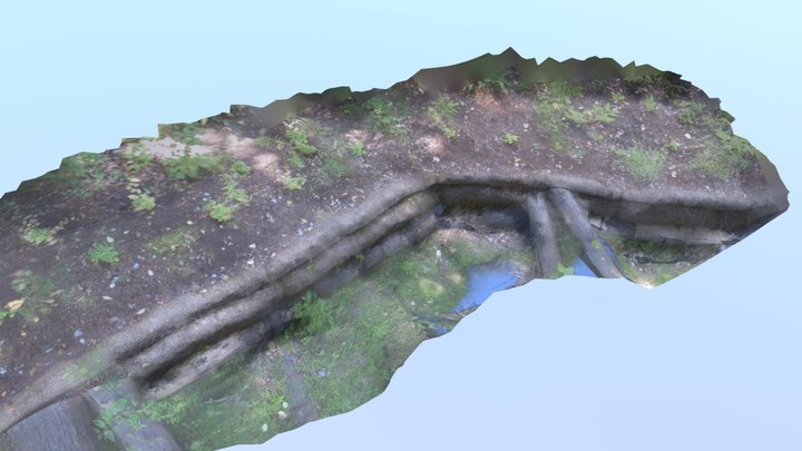 Coal Creek Restoration Site -Six Pass 3D Model