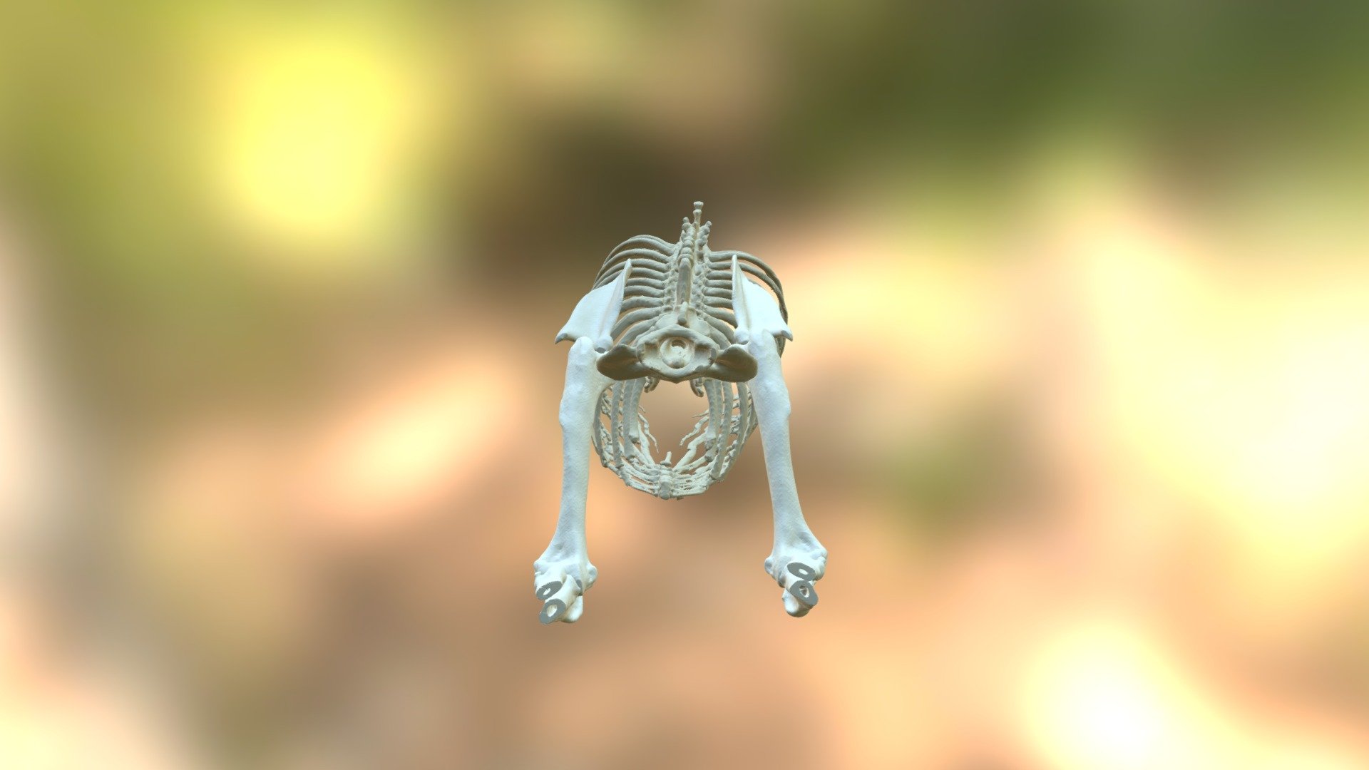 Sketchfab_2016_09_26_20_40_34 — Sketchfab embed 3D viewer